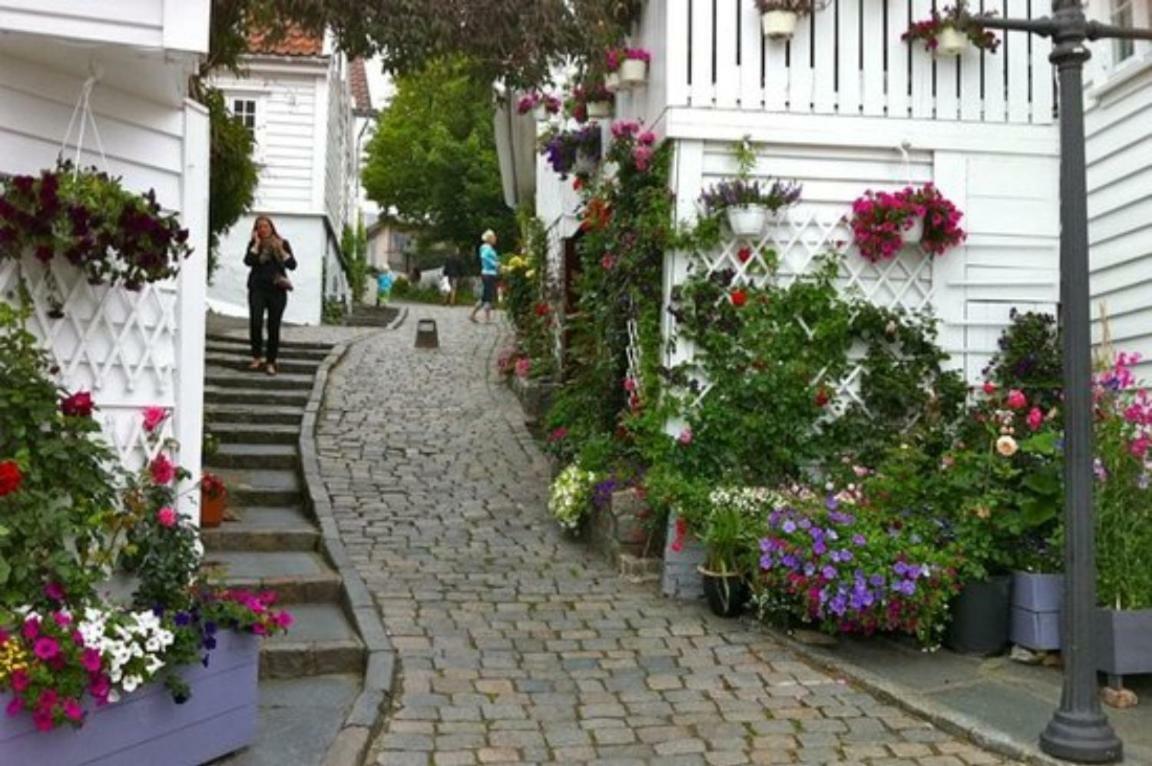 Historical Apartments In The Heart Of The Old Town สตาวังเงร์ ภายนอก รูปภาพ